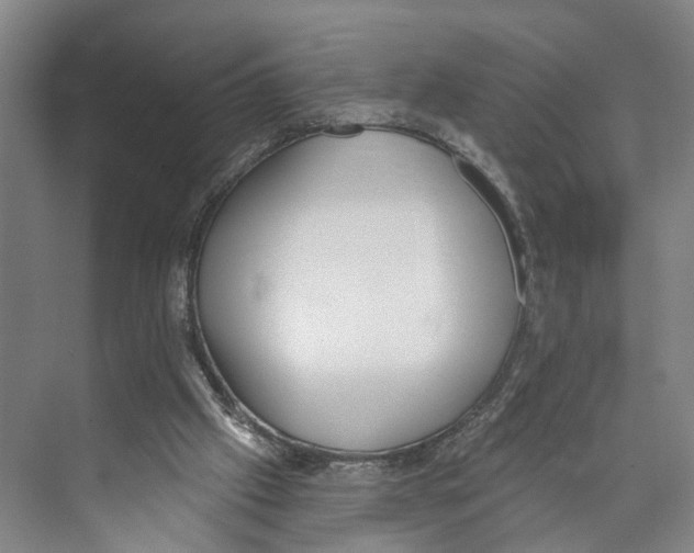 X0000071940057200608041538