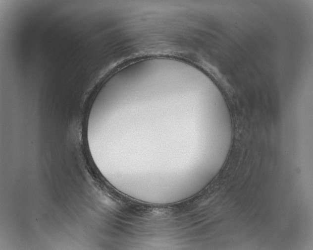 X0000071940060200608041538