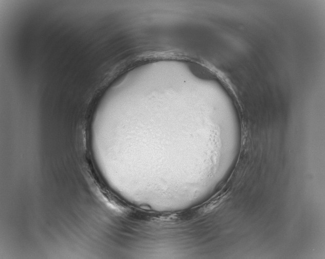 X0000071940061200608041538