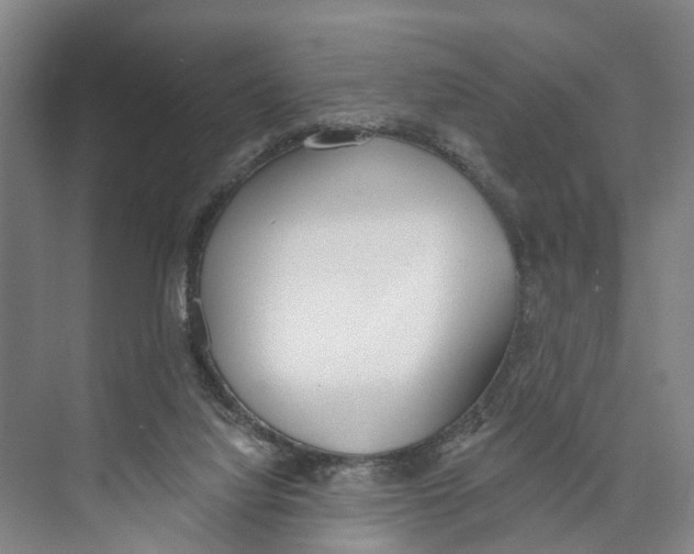 X0000071940068200608041538