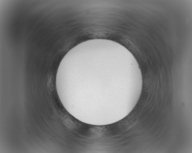 X0000071940079200608041538