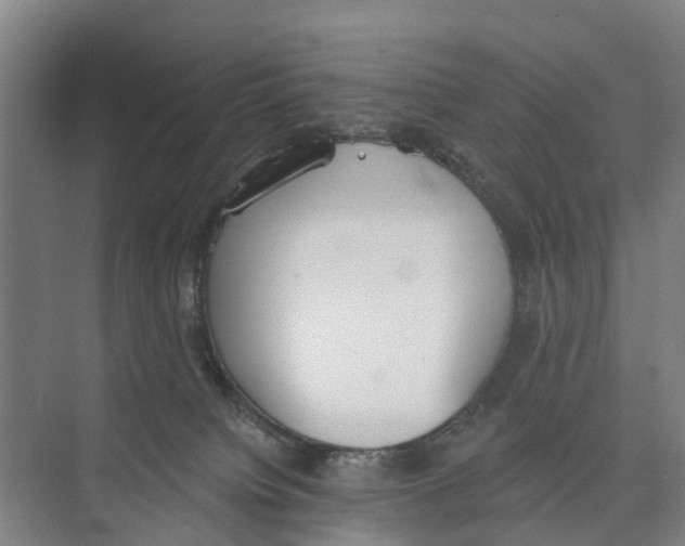 X0000071940084200608041538