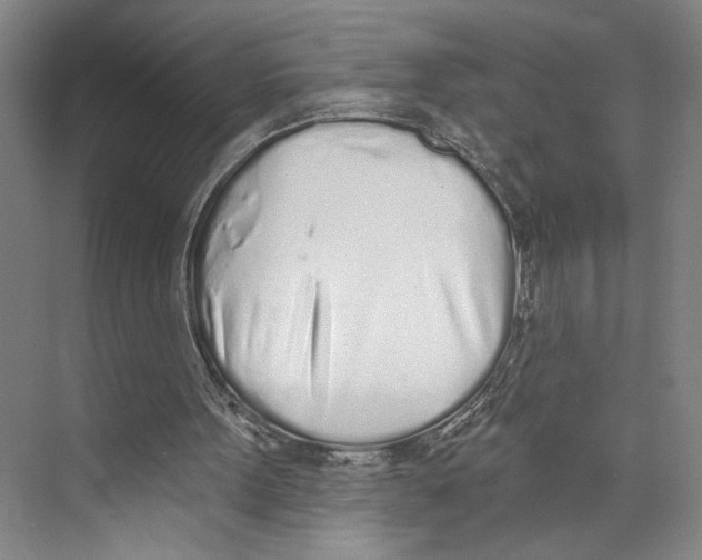X0000071940099200608041537