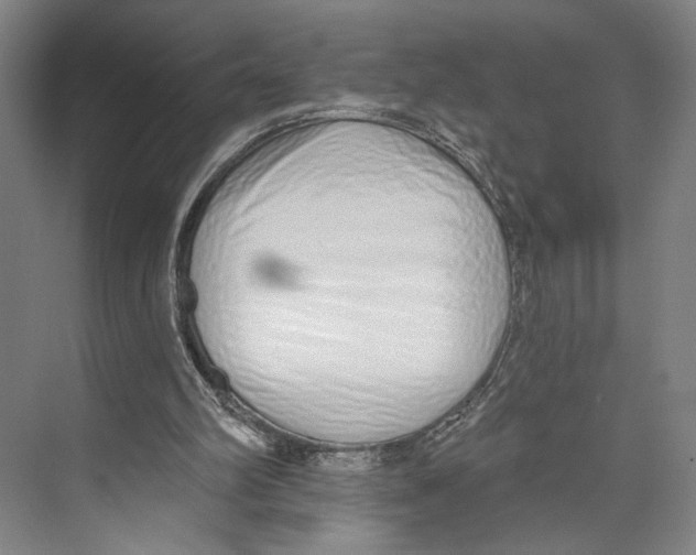 X0000071940102200608041537