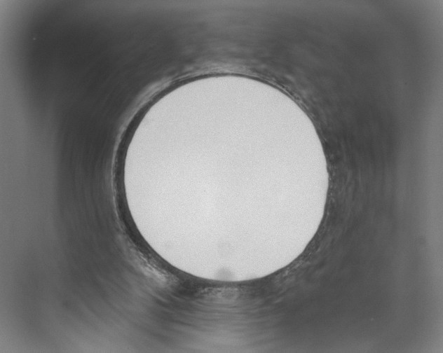 X0000071940104200608041537