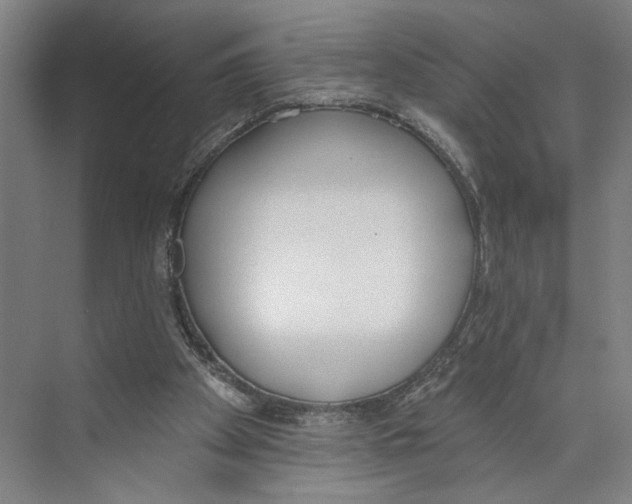 X0000071940105200608041537
