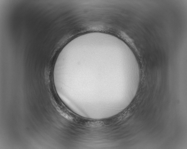 X0000071940106200608041537