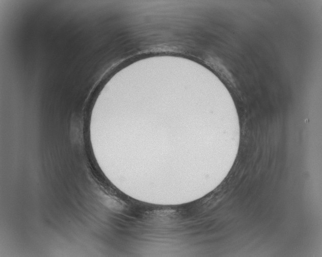 X0000071940108200608041537