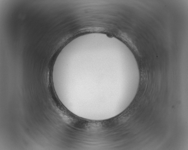 X0000071940110200608041537