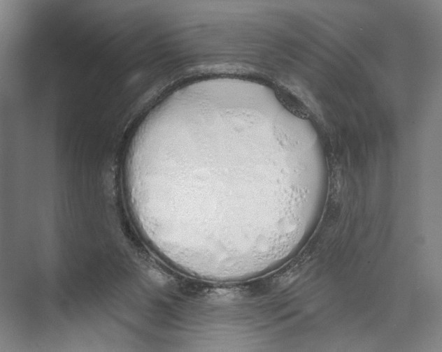 X0000071940111200608041537