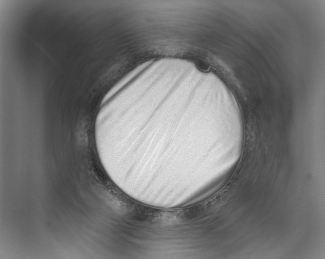 X0000071940114200608041537