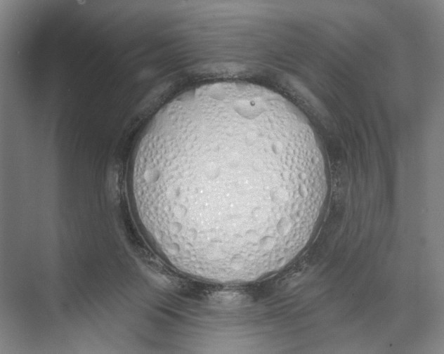 X0000071940119200608041537