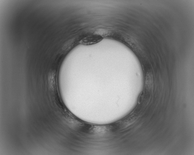 X0000071940127200608041537