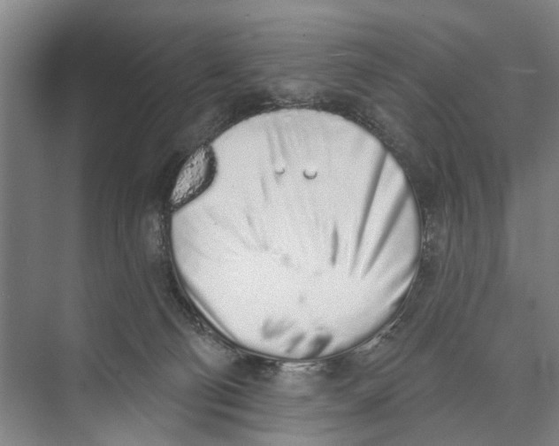 X0000071940130200608041537