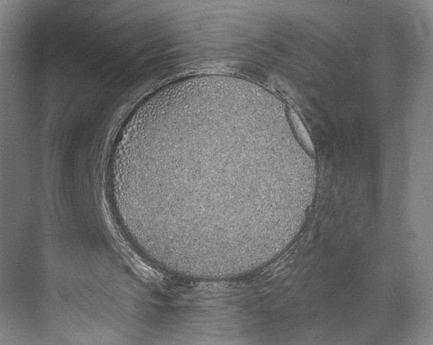 X0000071940145200608041536