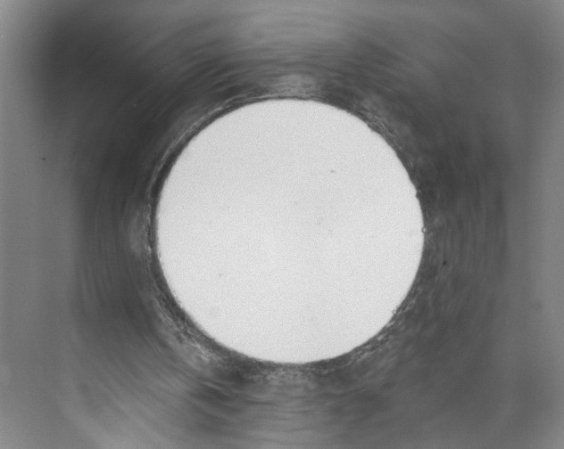 X0000071940146200608041536