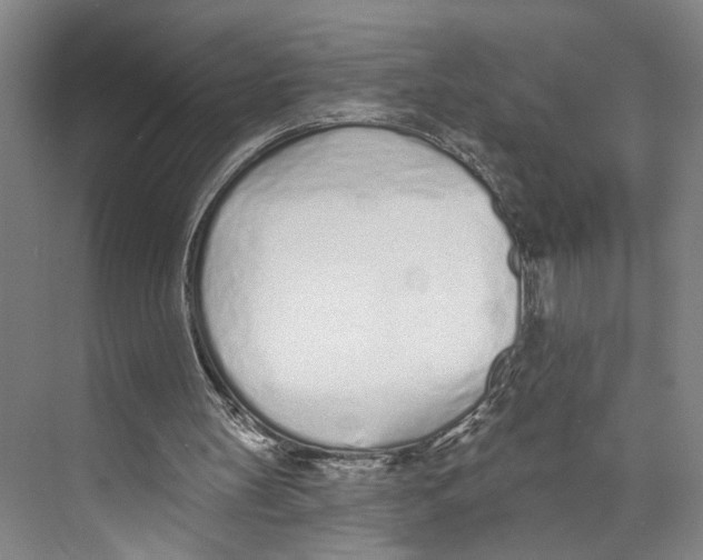 X0000071940147200608041536
