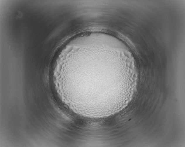 X0000071940155200608041536