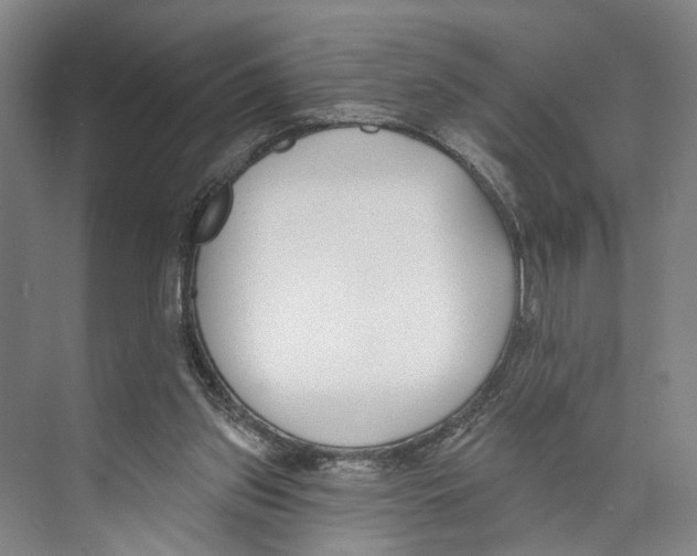 X0000071940157200608041536