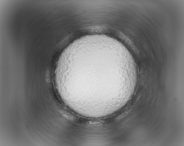 X0000071940161200608041536