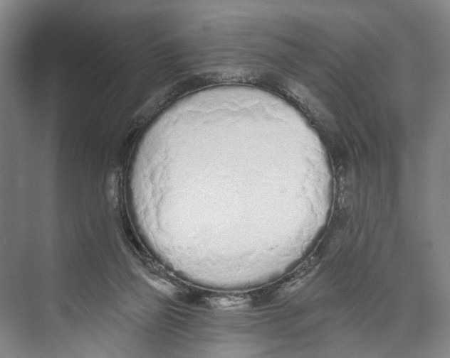 X0000071940165200608041536