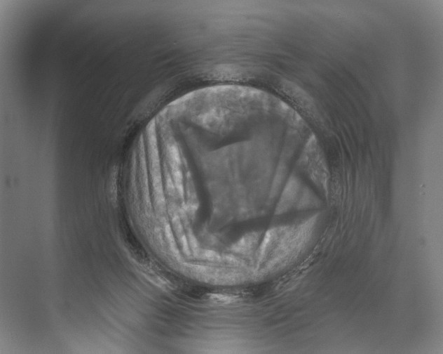 X0000071940167200608041536