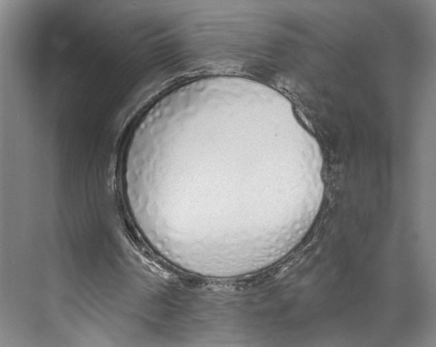 X0000071940194200608041536
