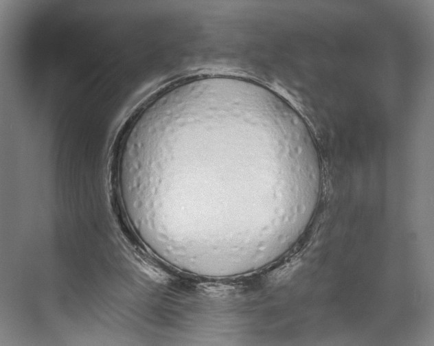 X0000071940199200608041536
