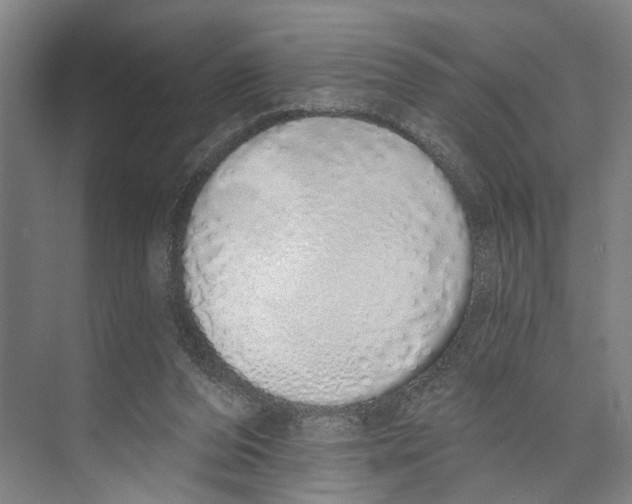 X0000071940208200608041536