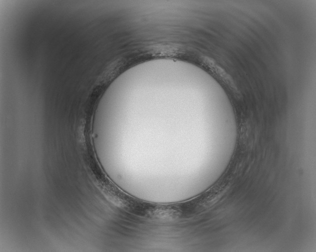 X0000071940209200608041536