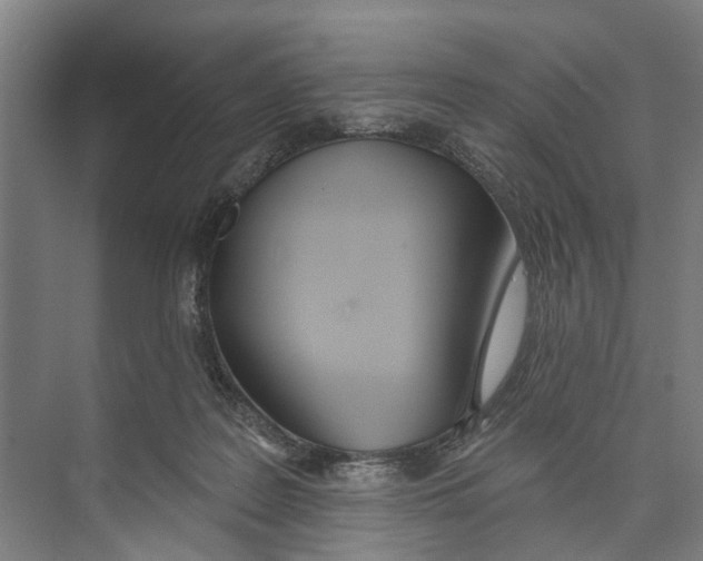 X0000071940219200608041535
