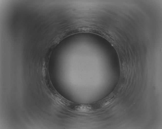X0000071940223200608041535