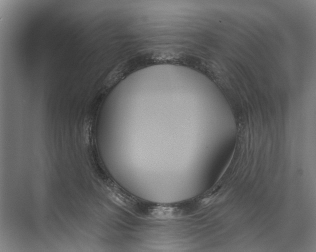 X0000071940227200608041535
