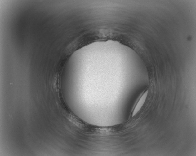 X0000071940233200608041535