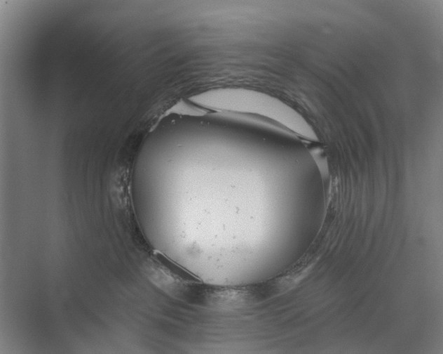 X0000071940237200608041535