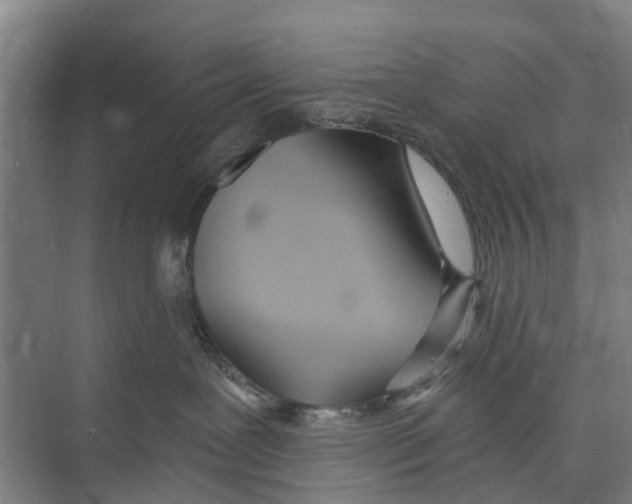 X0000071940239200608041535