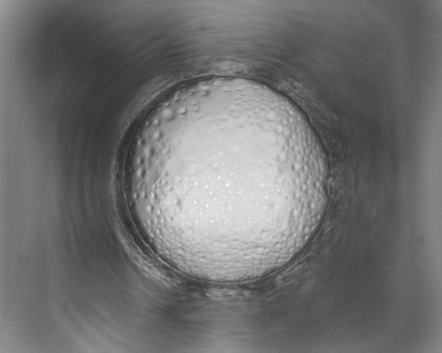 X0000071940242200608041534