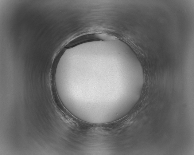 X0000071940244200608041534