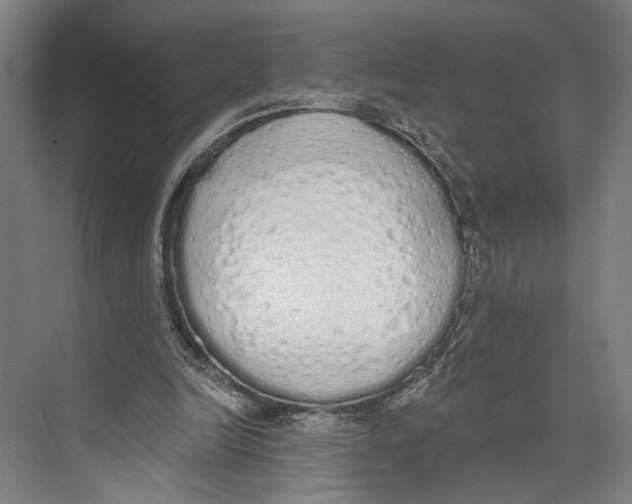 X0000071940246200608041534