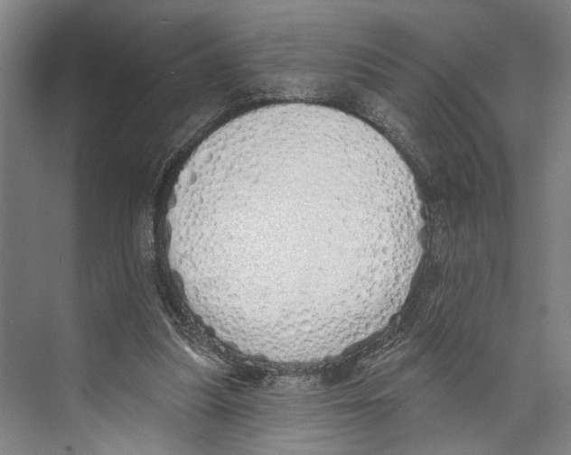 X0000071940251200608041534