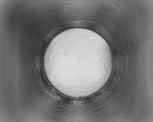 X0000071940255200608041534
