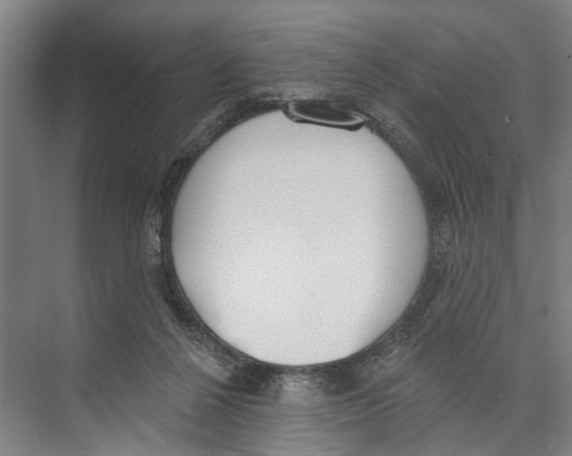 X0000071940264200608041535
