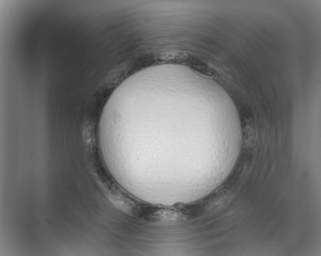 X0000071940272200608041535