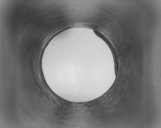 X0000071940289200608041534