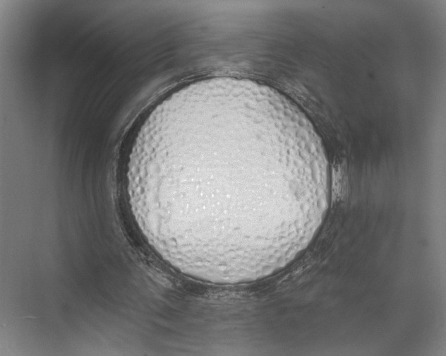 X0000071940291200608041534