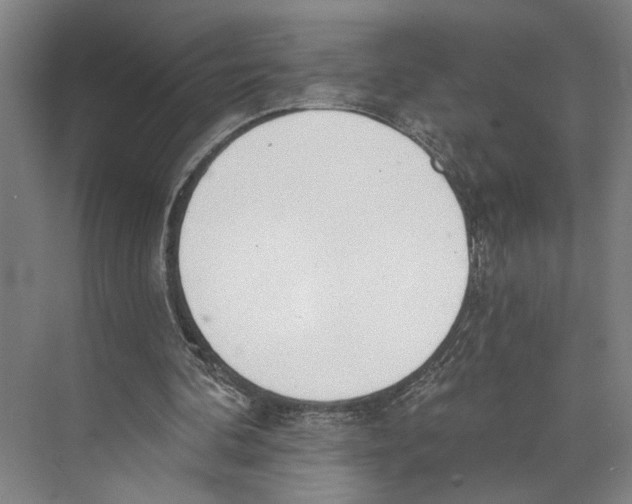 X0000071940292200608041534