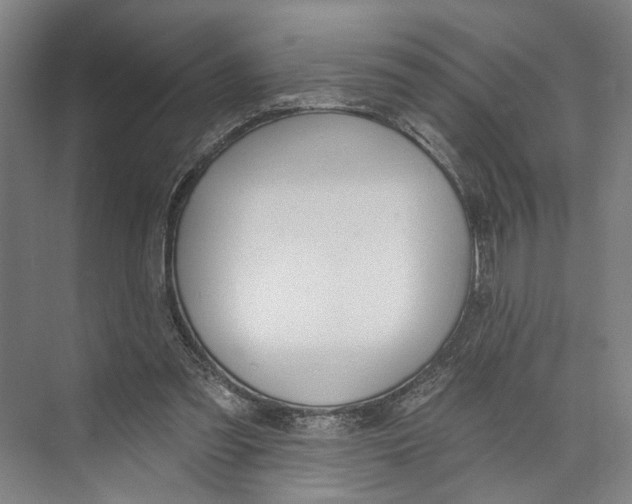 X0000071940301200608041534