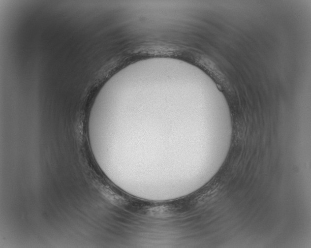 X0000071940309200608041534