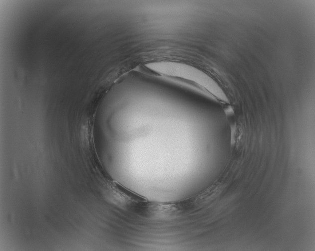 X0000071940333200608041533