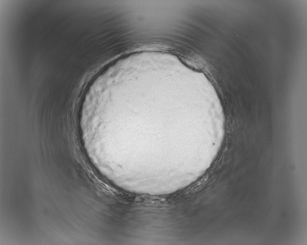 X0000071940337200608041533